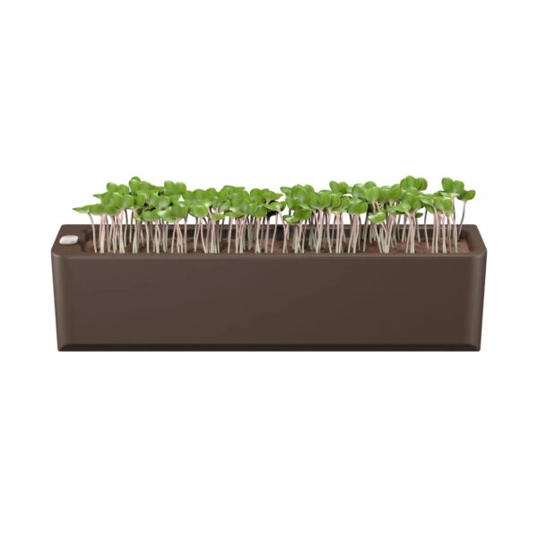 Terrarium Self Watering Plant Pot