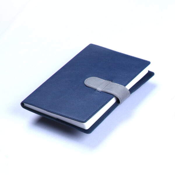Decent Diary