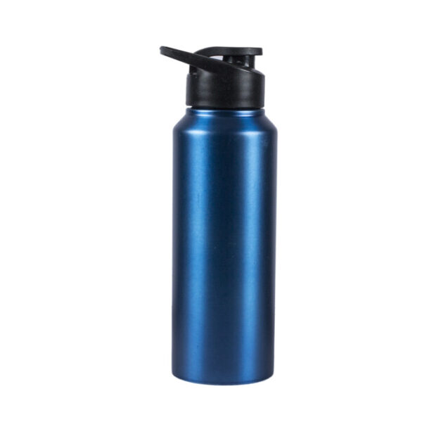 Sigma Stainless Steel Sports Bottle